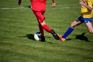 九游下载电脑版官网-世界马拉松大满贯赛事上海站开跑，世界马拉松大满贯赛事上海站开跑时间