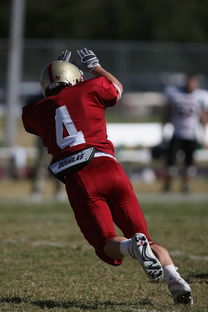 九游在线玩-中超球队重点对手研究频率分布，中超球队实力分析